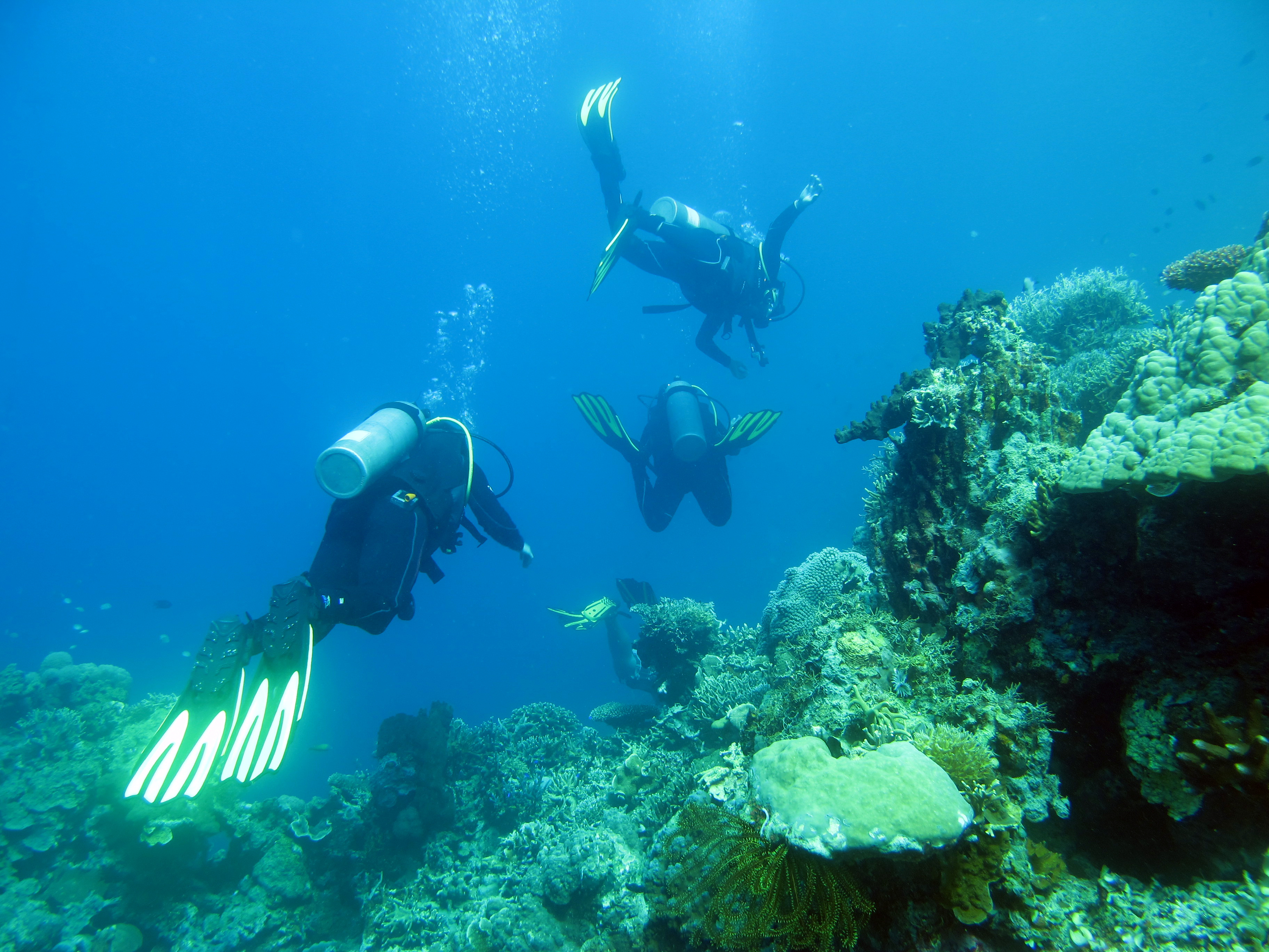 CYC Island underwater