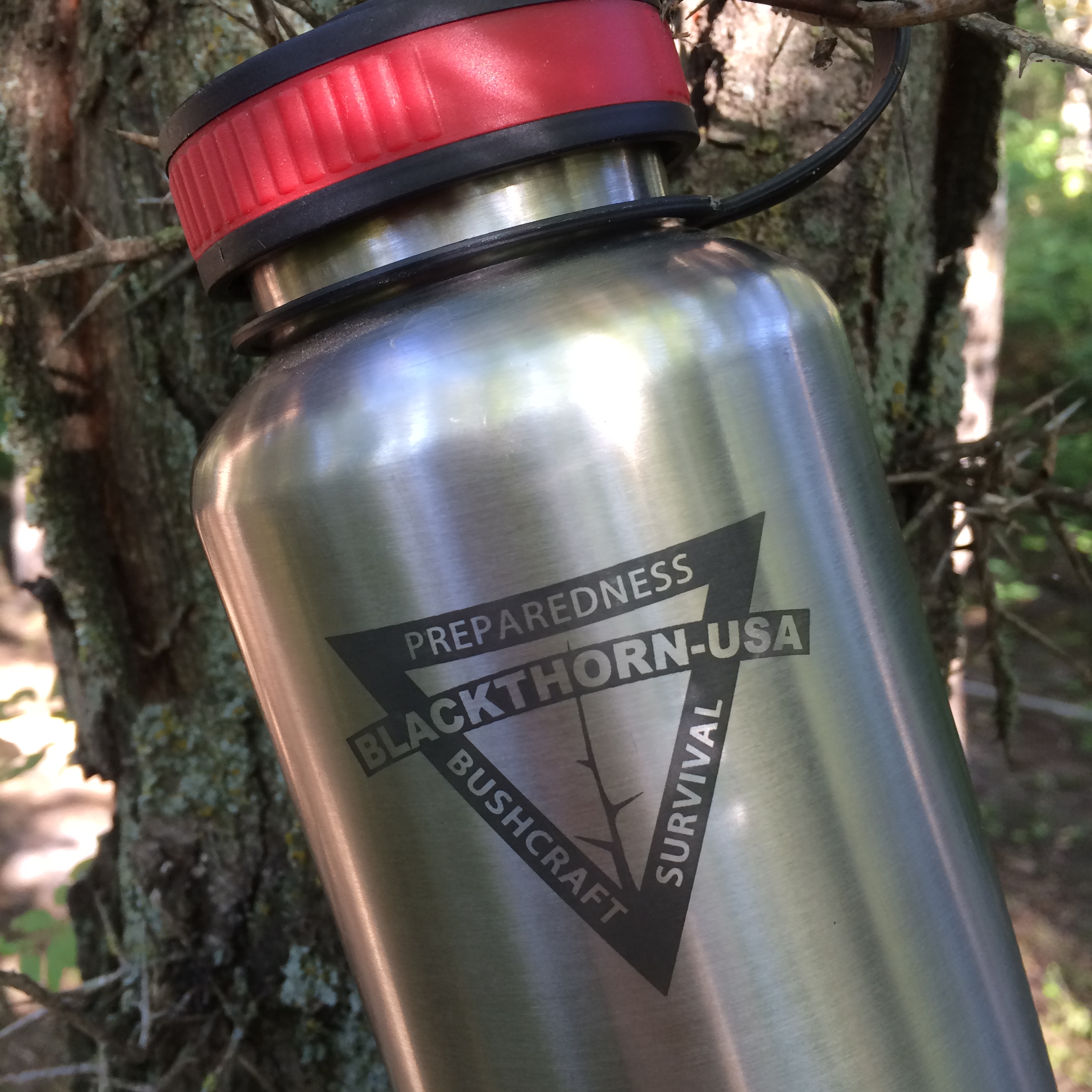 Blackthorn Bottle Stainless