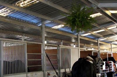 Barn Lighting Poway Baratelli Electric