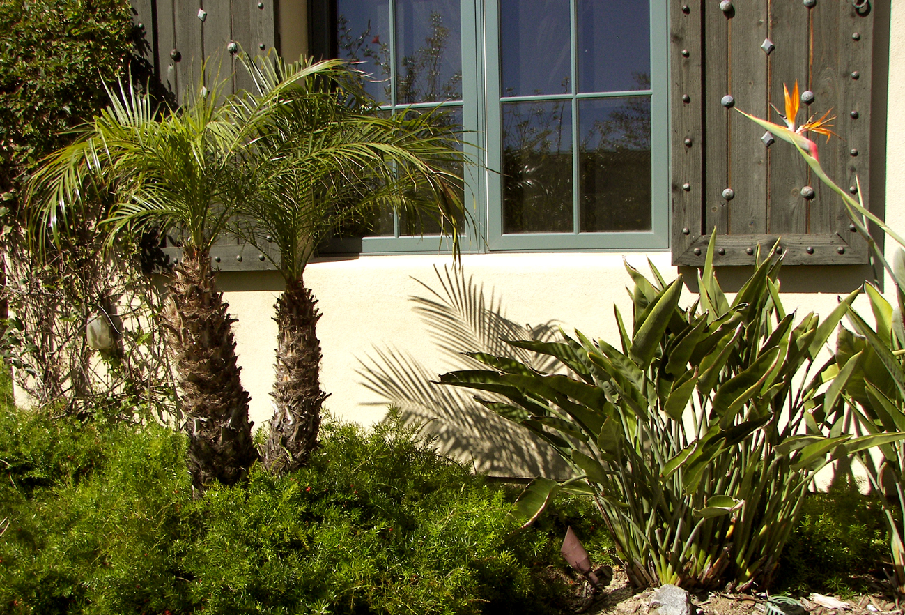 Landscape Lighting Baratelli Electric