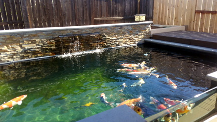 Koi Pond Electrical poway