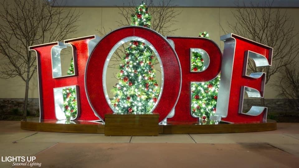 hope you love Christmas lights installation