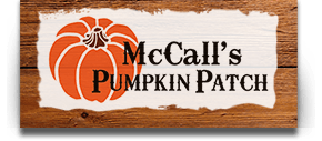 mccalls pumpkin patch