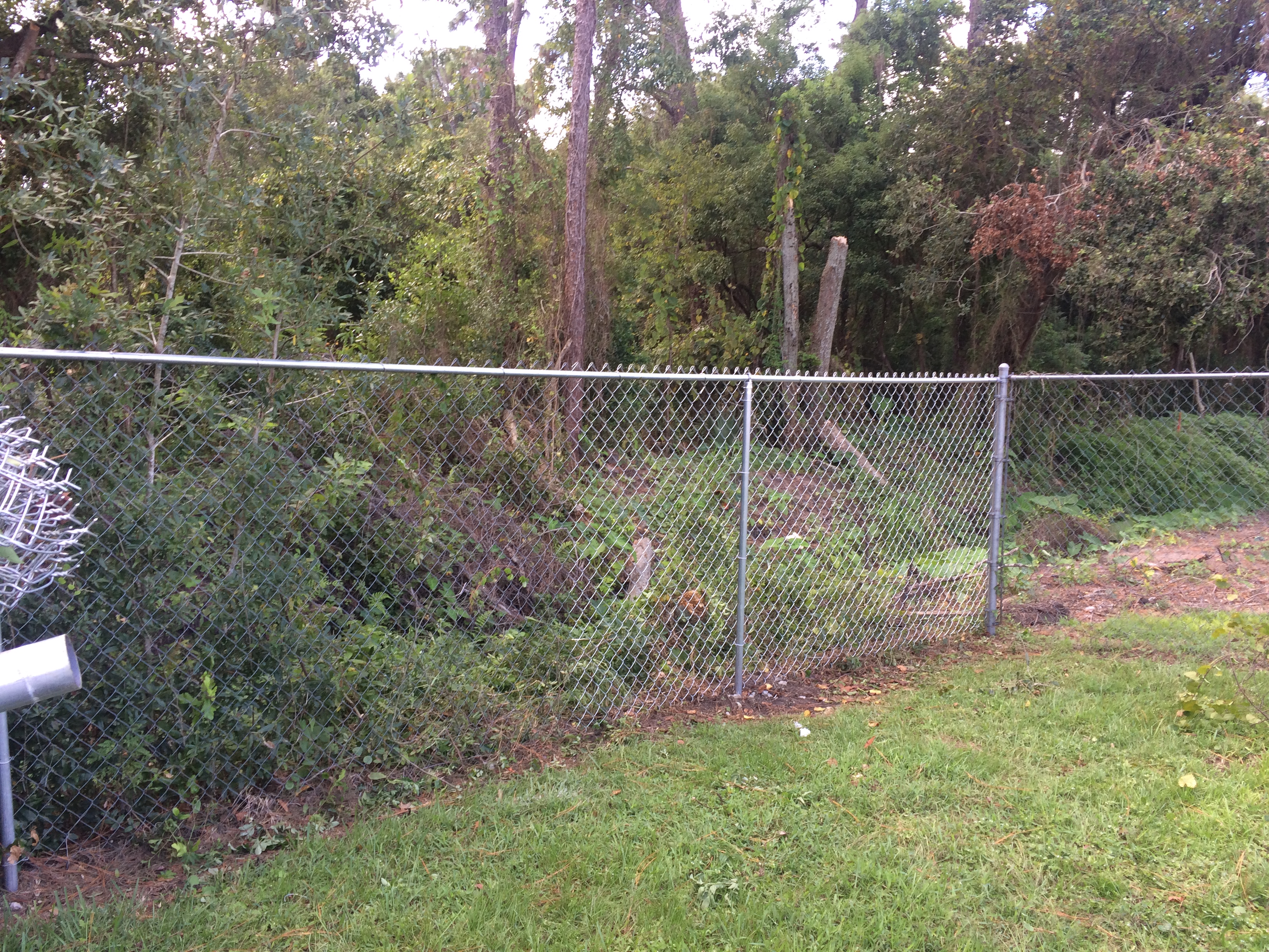 Fence repair Titusville