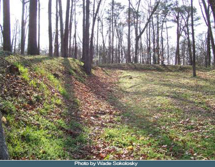 Image description