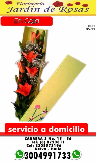 Image description