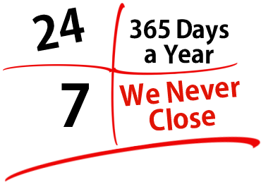 24 hour pest control newcastle