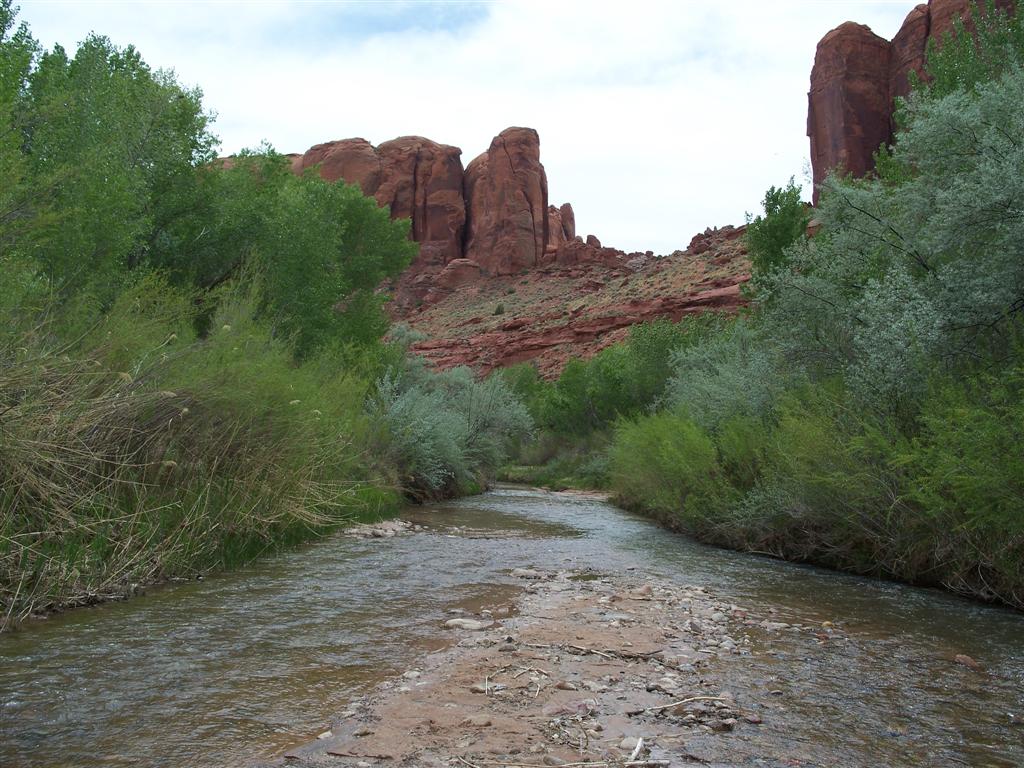 Image description