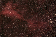 IC1318C Nebula