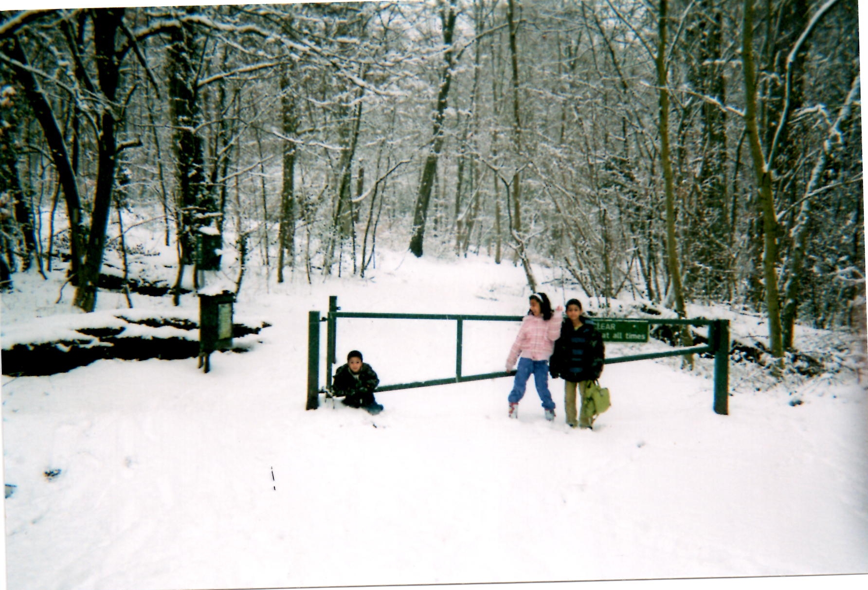 Image description